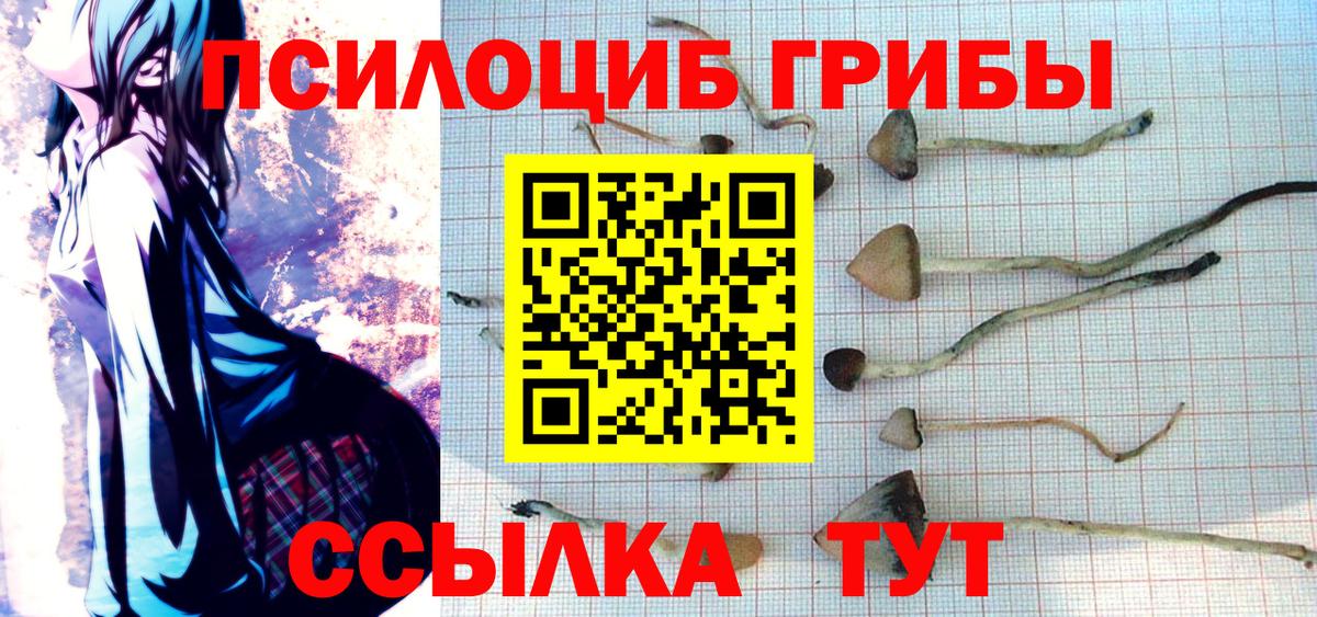 ГАШ  КОКАИН  Амфетамин кристаллы  МЕФ кристаллы  Железноводск  Вход с VPN  Купить закладку  A-PVP СК  